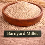 barnyard millet