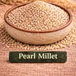 pearl millet