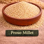 proso millet
